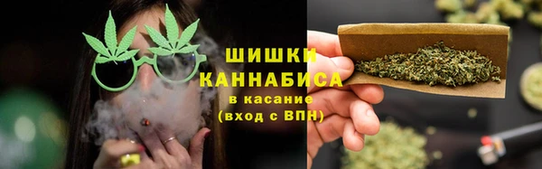шишки Алзамай