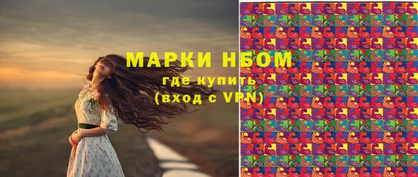 дмт Алексин