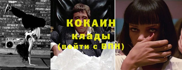 дмт Алексин